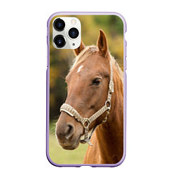 Чехол iPhone 11 Pro матовый Взгляд лошади, цвет: 3D-светло-сиреневый