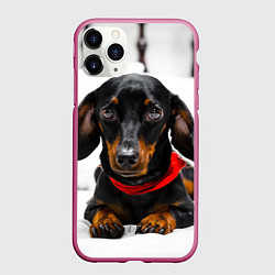 Чехол iPhone 11 Pro матовый Милая такса, цвет: 3D-малиновый