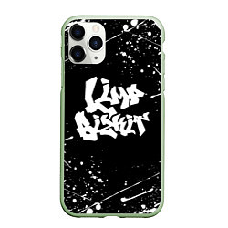 Чехол iPhone 11 Pro матовый LIMP BIZKIT, цвет: 3D-салатовый