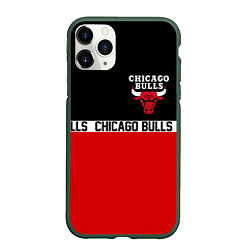 Чехол iPhone 11 Pro матовый CHICAGO BULLS, цвет: 3D-темно-зеленый