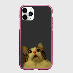 Чехол iPhone 11 Pro матовый Коте смотрит вверх, цвет: 3D-малиновый