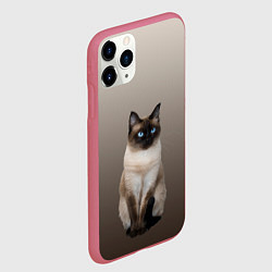 Чехол iPhone 11 Pro матовый Сиамский кот голубые глаза, цвет: 3D-малиновый — фото 2