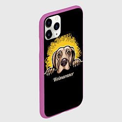 Чехол iPhone 11 Pro матовый Веймаранер Weimaraner, цвет: 3D-фиолетовый — фото 2