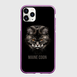 Чехол iPhone 11 Pro матовый Maine coon - кот