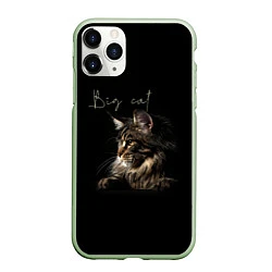 Чехол iPhone 11 Pro матовый Big cat Maine Coon, цвет: 3D-салатовый