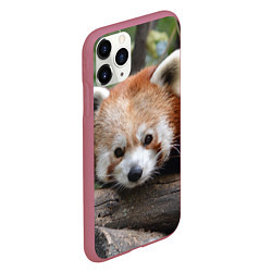 Чехол iPhone 11 Pro матовый Красная панда, цвет: 3D-малиновый — фото 2