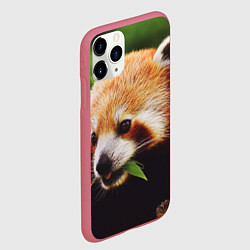 Чехол iPhone 11 Pro матовый Красная милая панда, цвет: 3D-малиновый — фото 2