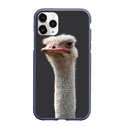 Чехол iPhone 11 Pro матовый Голова страуса, цвет: 3D-серый