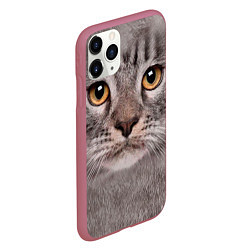 Чехол iPhone 11 Pro матовый Котик, цвет: 3D-малиновый — фото 2