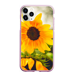 Чехол iPhone 11 Pro матовый Подсолнухи, цвет: 3D-розовый