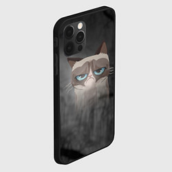 Чехол для iPhone 12 Pro Max Grumpy Cat, цвет: 3D-черный — фото 2