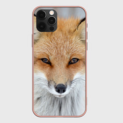 Чехол для iPhone 12 Pro Max Зимняя лиса, цвет: 3D-светло-розовый