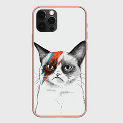 Чехол для iPhone 12 Pro Max David Bowie: Grumpy cat, цвет: 3D-светло-розовый