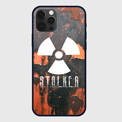 Чехол для iPhone 12 Pro Max S.T.A.L.K.E.R: Orange Toxic, цвет: 3D-черный