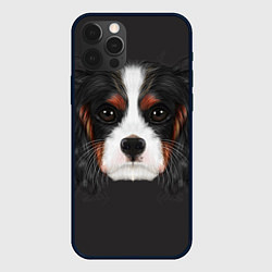 Чехол для iPhone 12 Pro Max Cavalier King Charles, цвет: 3D-черный