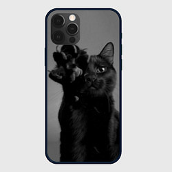 Чехол iPhone 12 Pro Max Черный котик