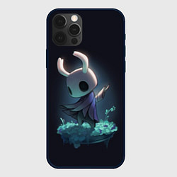 Чехол для iPhone 12 Pro Max Hollow Knight, цвет: 3D-черный