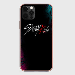Чехол для iPhone 12 Pro Max STRAY KIDS, цвет: 3D-светло-розовый