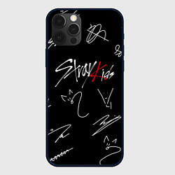 Чехол iPhone 12 Pro Max STRAY KIDS