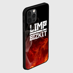 Чехол для iPhone 12 Pro Max LIMP BIZKIT, цвет: 3D-черный — фото 2