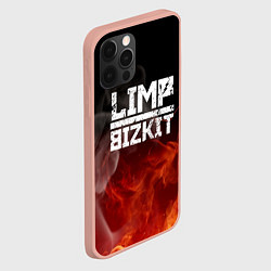 Чехол для iPhone 12 Pro Max LIMP BIZKIT, цвет: 3D-светло-розовый — фото 2