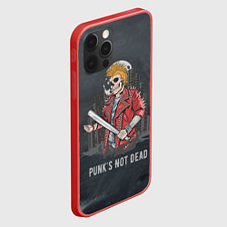 Чехол для iPhone 12 Pro Max Punk??s Not Dead, цвет: 3D-красный — фото 2