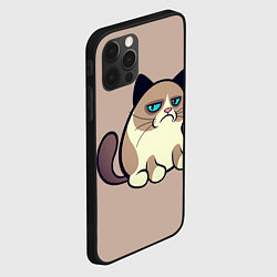 Чехол для iPhone 12 Pro Max Великий Grumpy Cat, цвет: 3D-черный — фото 2