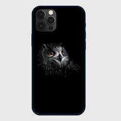 Чехол для iPhone 12 Pro Max Сова, цвет: 3D-черный