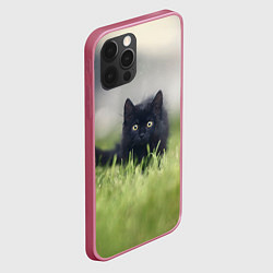 Чехол для iPhone 12 Pro Max Черный кот на лугу, цвет: 3D-малиновый — фото 2