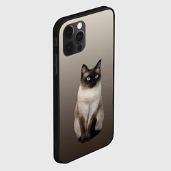 Чехол для iPhone 12 Pro Max Сиамский кот голубые глаза, цвет: 3D-черный — фото 2