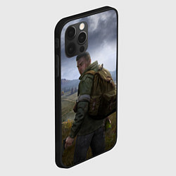 Чехол для iPhone 12 Pro Max DAYZ POSTER ДЕЙЗИ ПОСТЕР Z, цвет: 3D-черный — фото 2