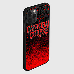 Чехол для iPhone 12 Pro Max CANNIBAL CORPSE, цвет: 3D-черный — фото 2