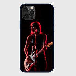 Чехол iPhone 12 Pro Max Тейлор на концерте