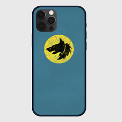 Чехол для iPhone 12 Pro Max Космические Волки цвет легиона 6, цвет: 3D-черный