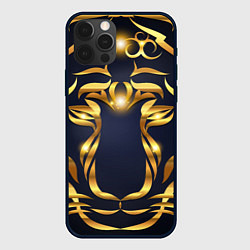 Чехол для iPhone 12 Pro Max Золотой символ года Тигр, цвет: 3D-черный