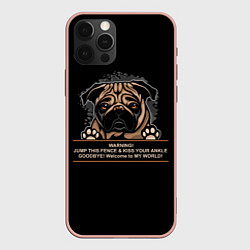 Чехол для iPhone 12 Pro Max Собака Мопс, цвет: 3D-светло-розовый