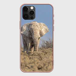 Чехол для iPhone 12 Pro Max Африканский белый слон, цвет: 3D-светло-розовый