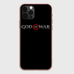 Чехол для iPhone 12 Pro Max GOD OF WAR LOGO, РУНЫ, цвет: 3D-светло-розовый