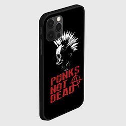 Чехол для iPhone 12 Pro Max Punks Not Dead, цвет: 3D-черный — фото 2