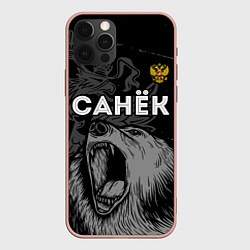Чехол для iPhone 12 Pro Max Санёк Россия Медведь, цвет: 3D-светло-розовый