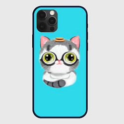 Чехол для iPhone 12 Pro Max CAT IN A HAT, цвет: 3D-черный