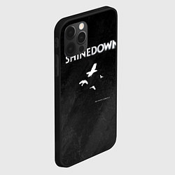 Чехол для iPhone 12 Pro Max The Sound of Madness Shinedown, цвет: 3D-черный — фото 2
