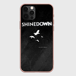 Чехол для iPhone 12 Pro Max The Sound of Madness Shinedown, цвет: 3D-светло-розовый