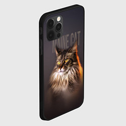 Чехол для iPhone 12 Pro Max Maine cat, цвет: 3D-черный — фото 2