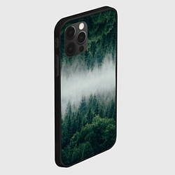 Чехол для iPhone 12 Pro Max ЗЕРКАЛЬНЫЙ ТУМАННЫЙ ЛЕС, цвет: 3D-черный — фото 2