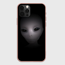 Чехол для iPhone 12 Pro Max Взгляд пришельца, цвет: 3D-светло-розовый
