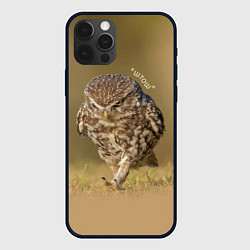 Чехол для iPhone 12 Pro Max Штош - мем - совёнок, цвет: 3D-черный