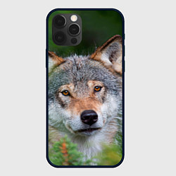 Чехол для iPhone 12 Pro Max Волк на фоне зелени, цвет: 3D-черный