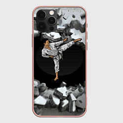 Чехол для iPhone 12 Pro Max Боевые искусства - каратист, цвет: 3D-светло-розовый
