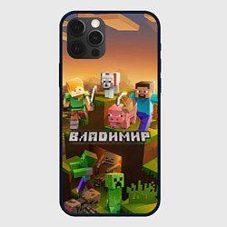 Чехол для iPhone 12 Pro Max Владимир Minecraft, цвет: 3D-черный